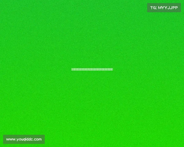 智美体育马拉松赛事盛大开幕挑战自我奔跑无限激情共享健康