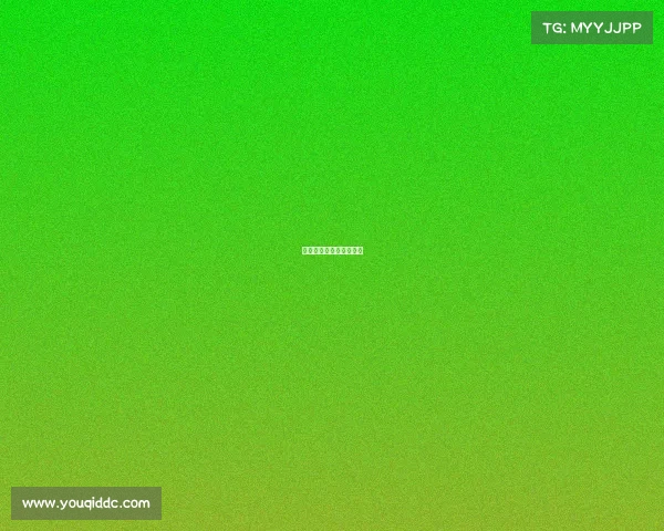 赛事执行主管赛事执行官