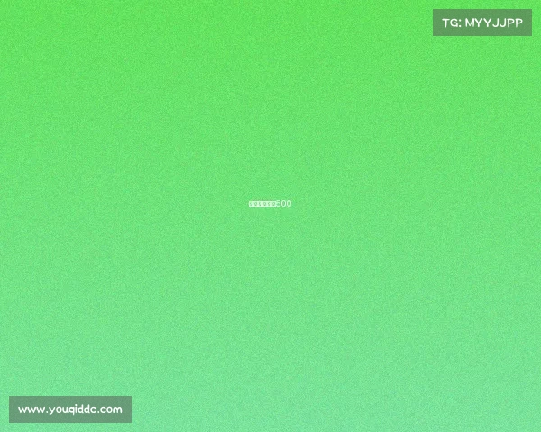 鹿岛鹿角赛程500